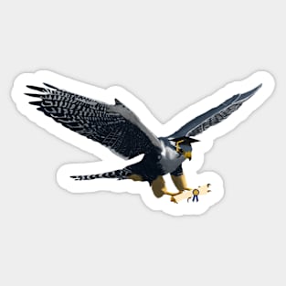 Graduation Falcon Sticker